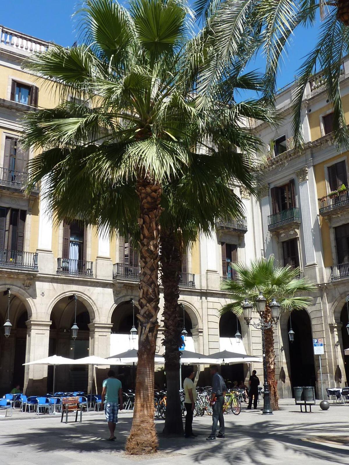 מלון ברצלונה Roma Reial מראה חיצוני תמונה